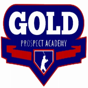 Gold Prospect Aca.