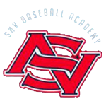 SNV ACADEMY